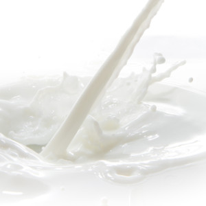 Új tej több fehérjével és kalciummal? 