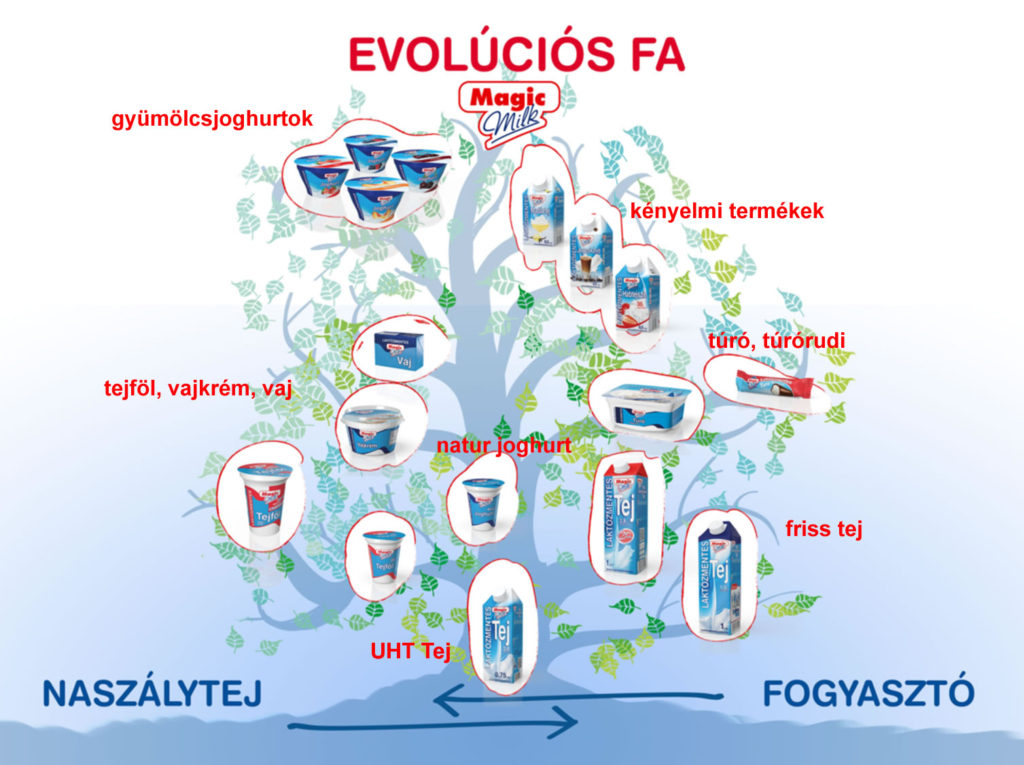 Naszálytej laktózmentes tejtermékek evolúciós fája
